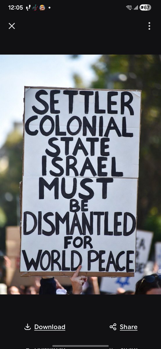 a window on the word tweet media