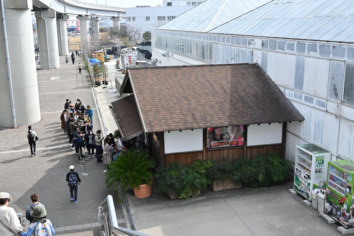 roquesite (ロケサイト) tweet media