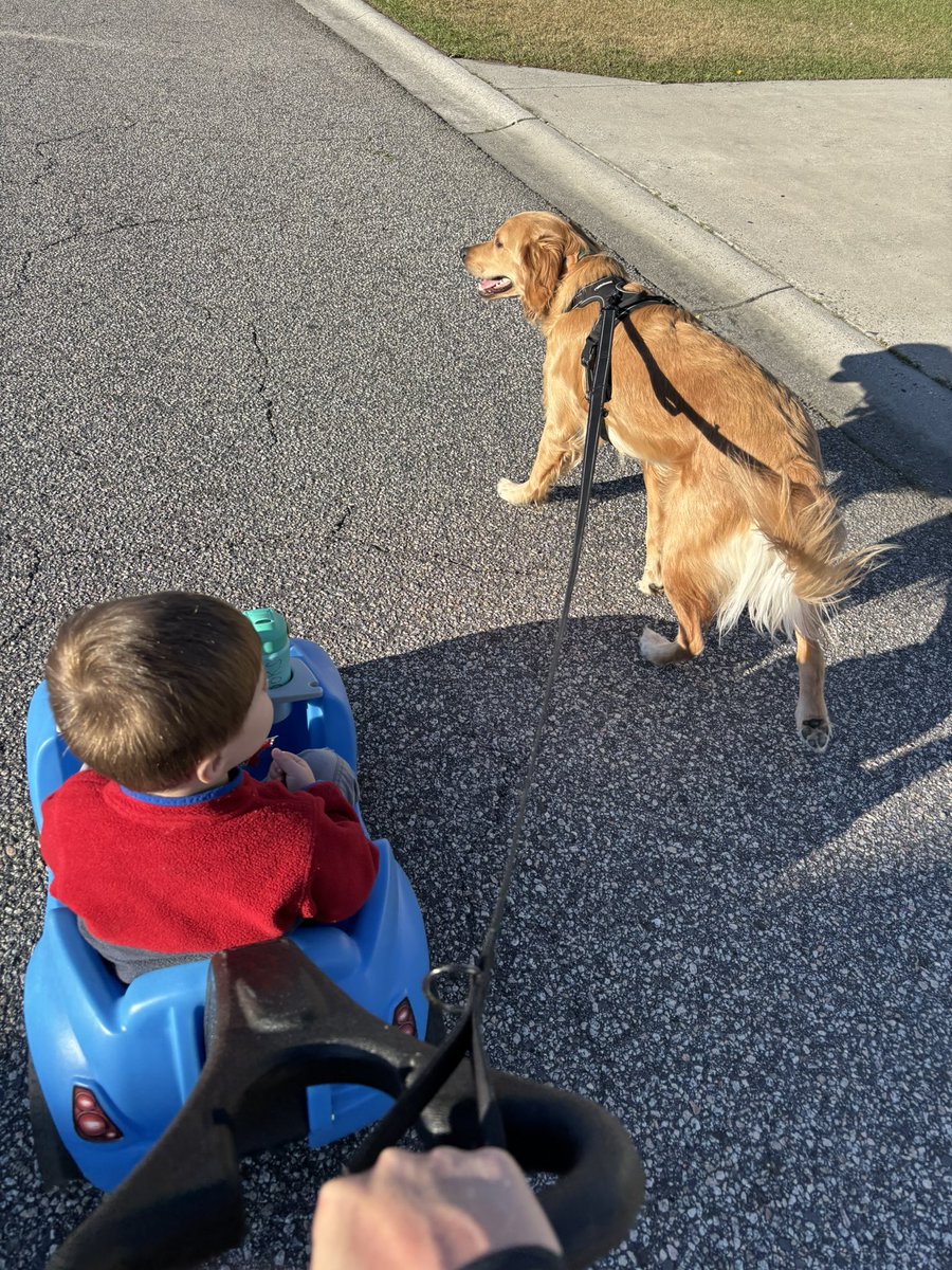 Andrew Dockery tweet media