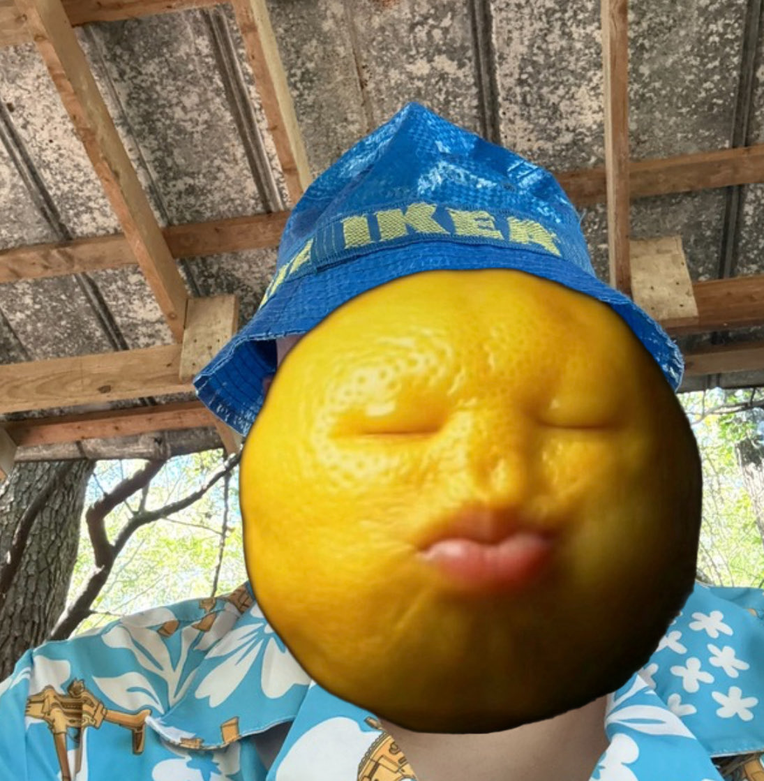 lemon 🍋 tweet media