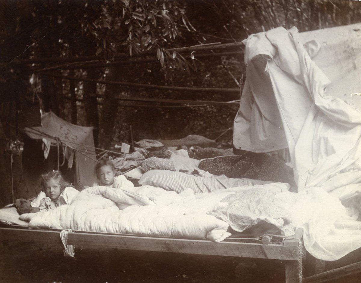 The Mendocino Voice tweet media