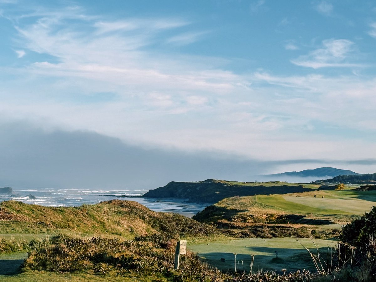 Brian Nemhauser tweet media