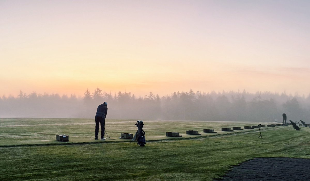 Brian Nemhauser tweet media