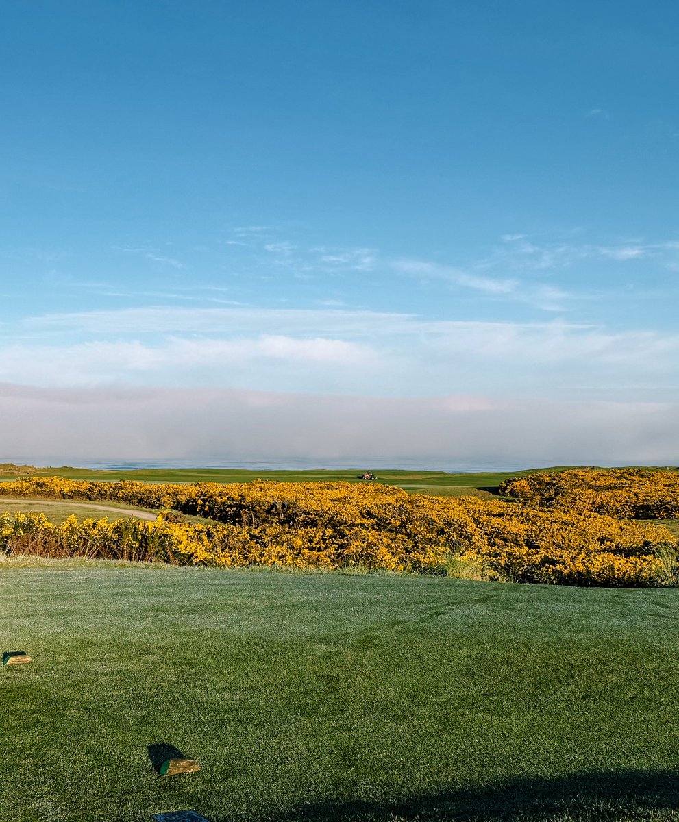 Brian Nemhauser tweet media