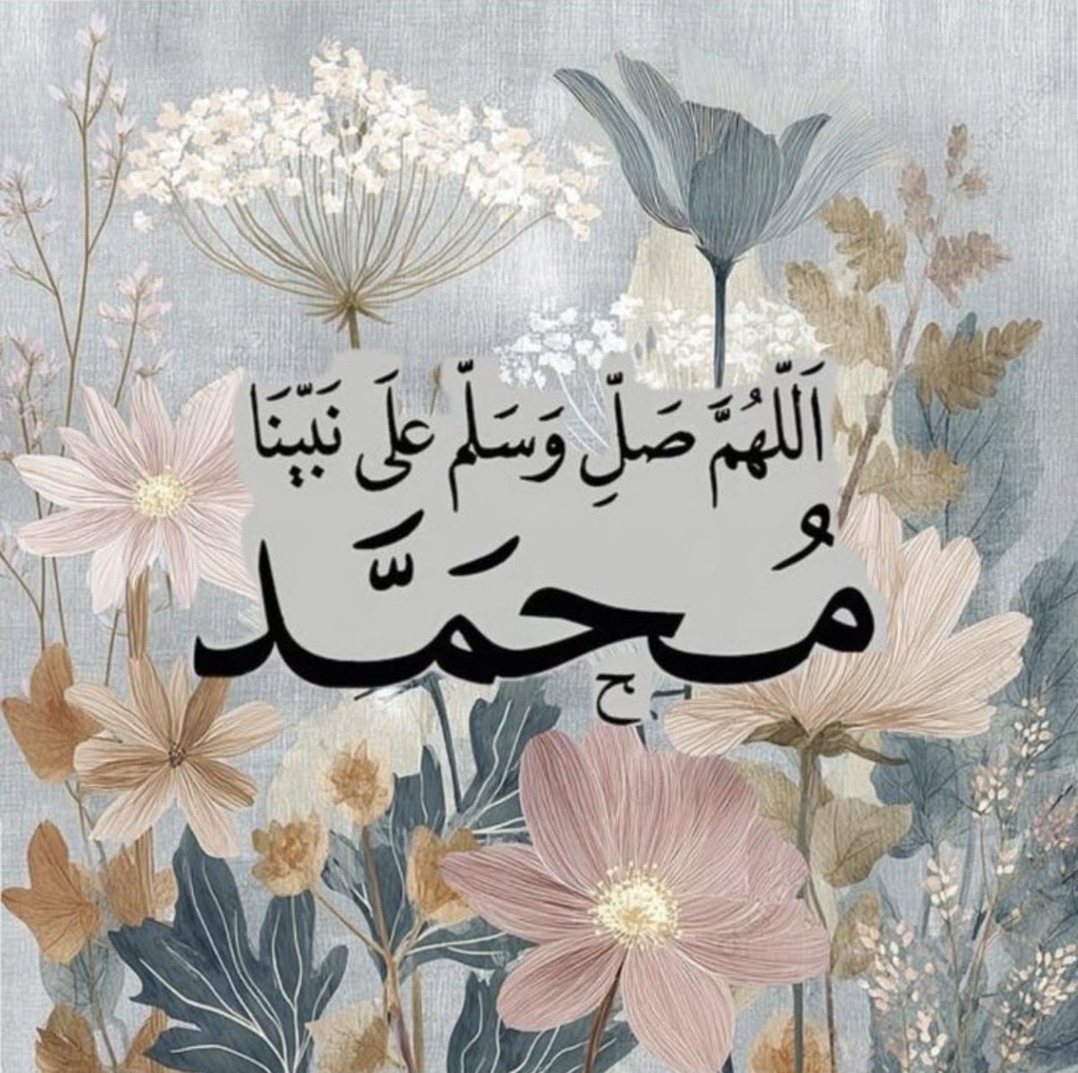 محب الخير♥️ابومحمد tweet media