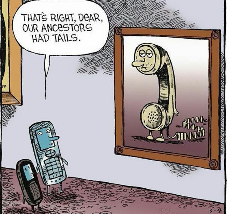 Evee Talk 💚 tweet media