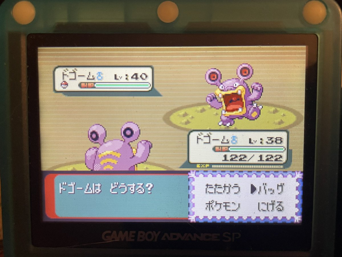 PinkEXP | pinkexp.bsky.social tweet media