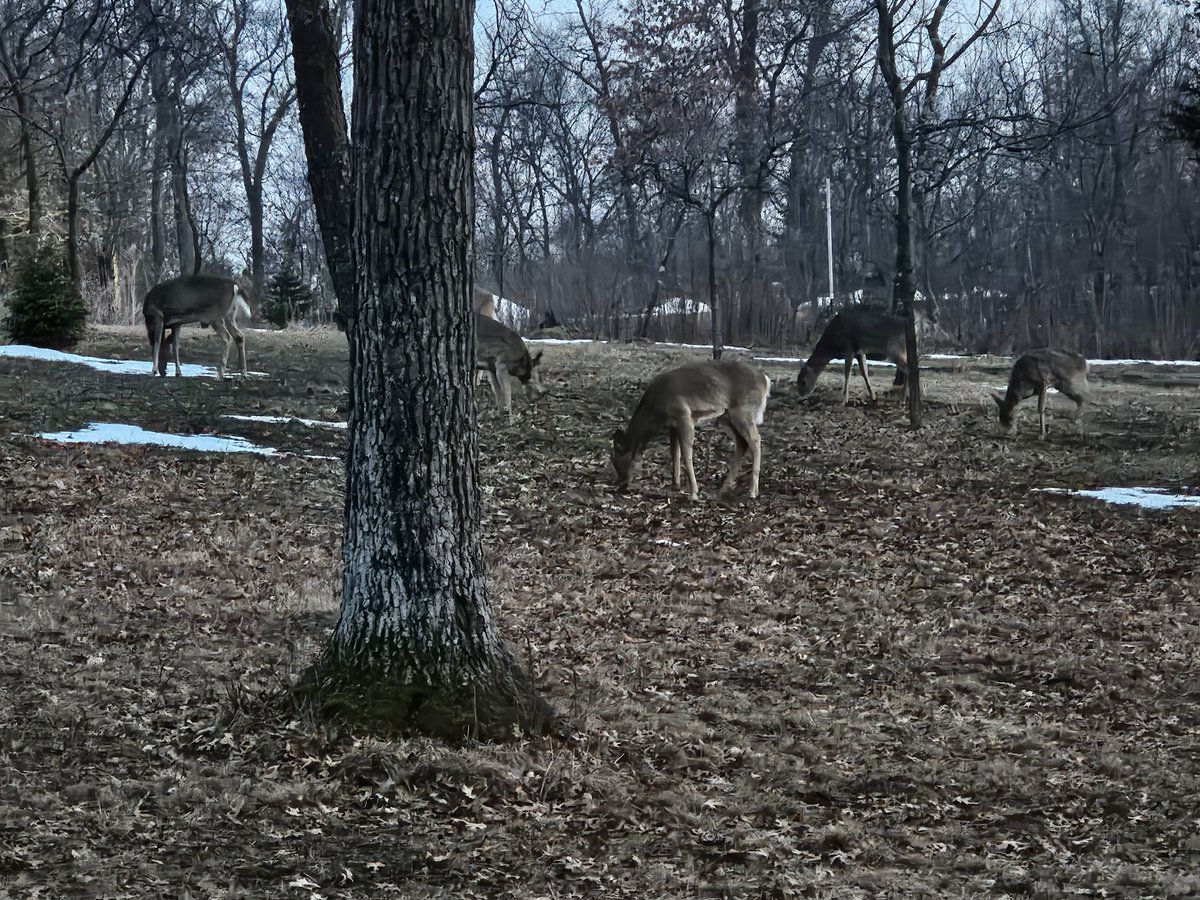 SeymoreSR tweet media