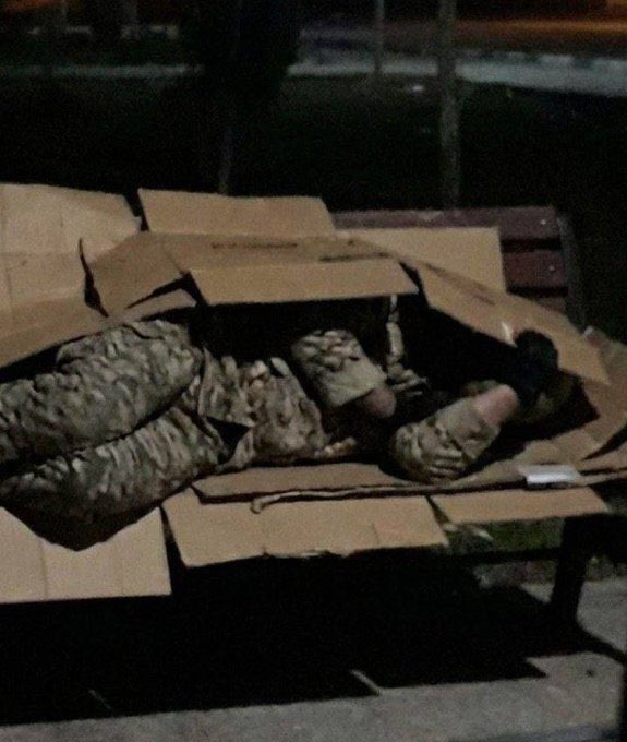 أحمد خليفة tweet media