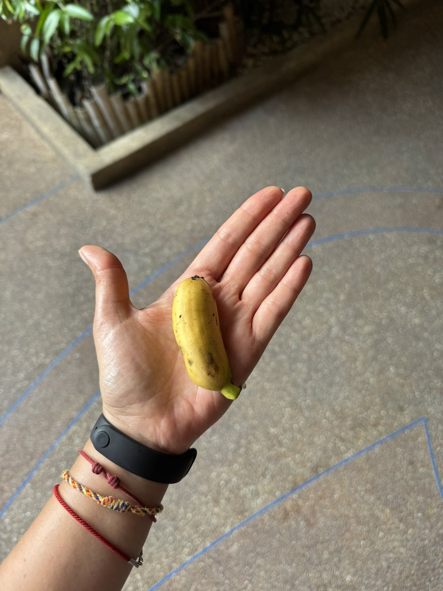 Smartass tweet media