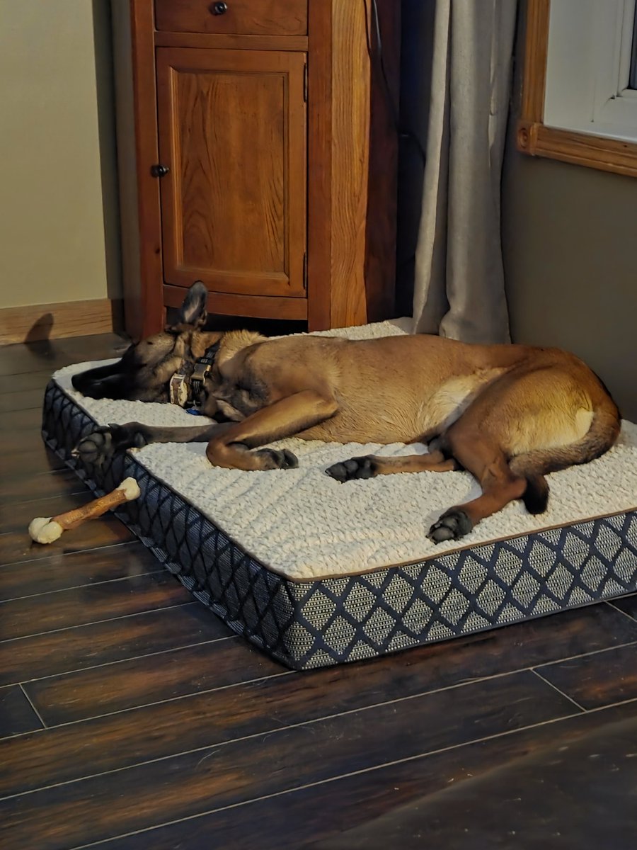 The Only James Magelk tweet media