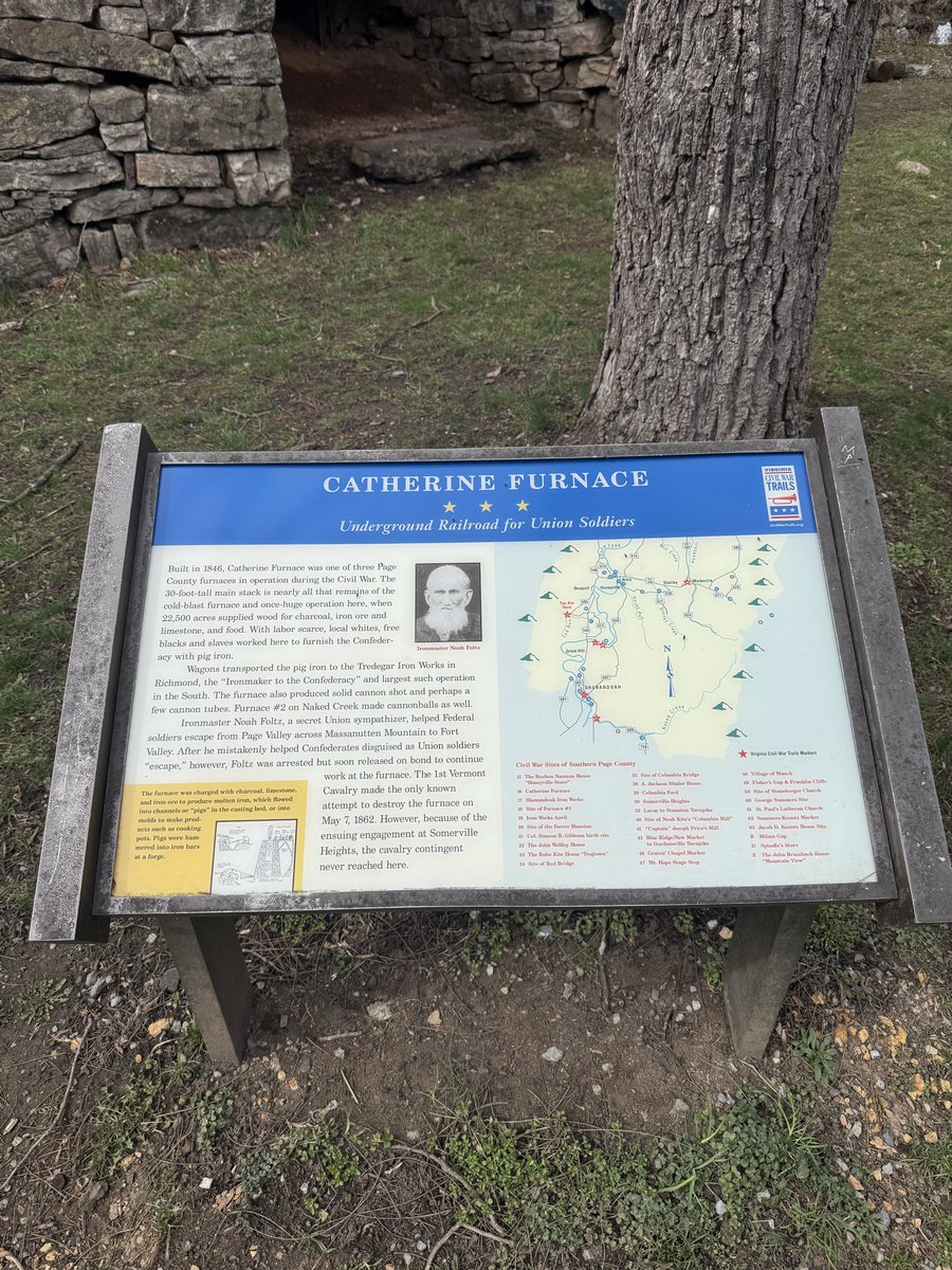 Dan Warne tweet media