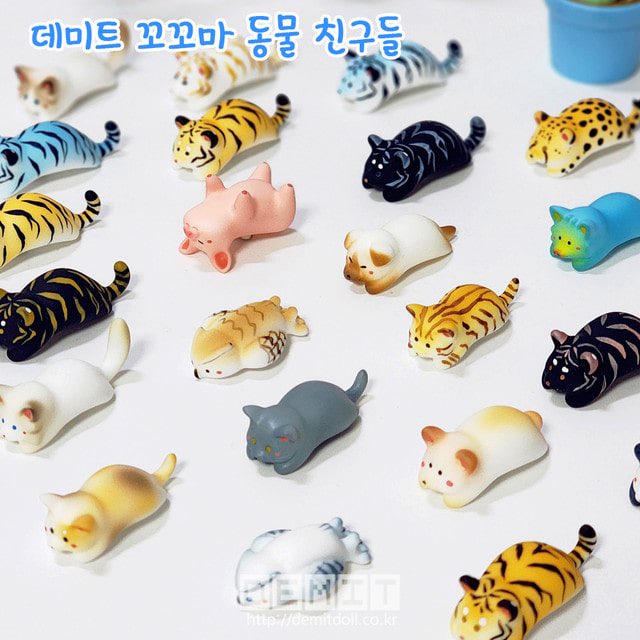 Project Doll 프로젝트돌 홍보 🎉 tweet media