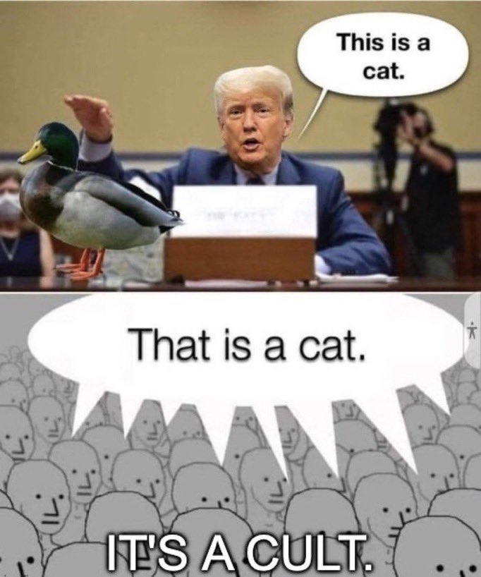 Isabel Magalhaes tweet media