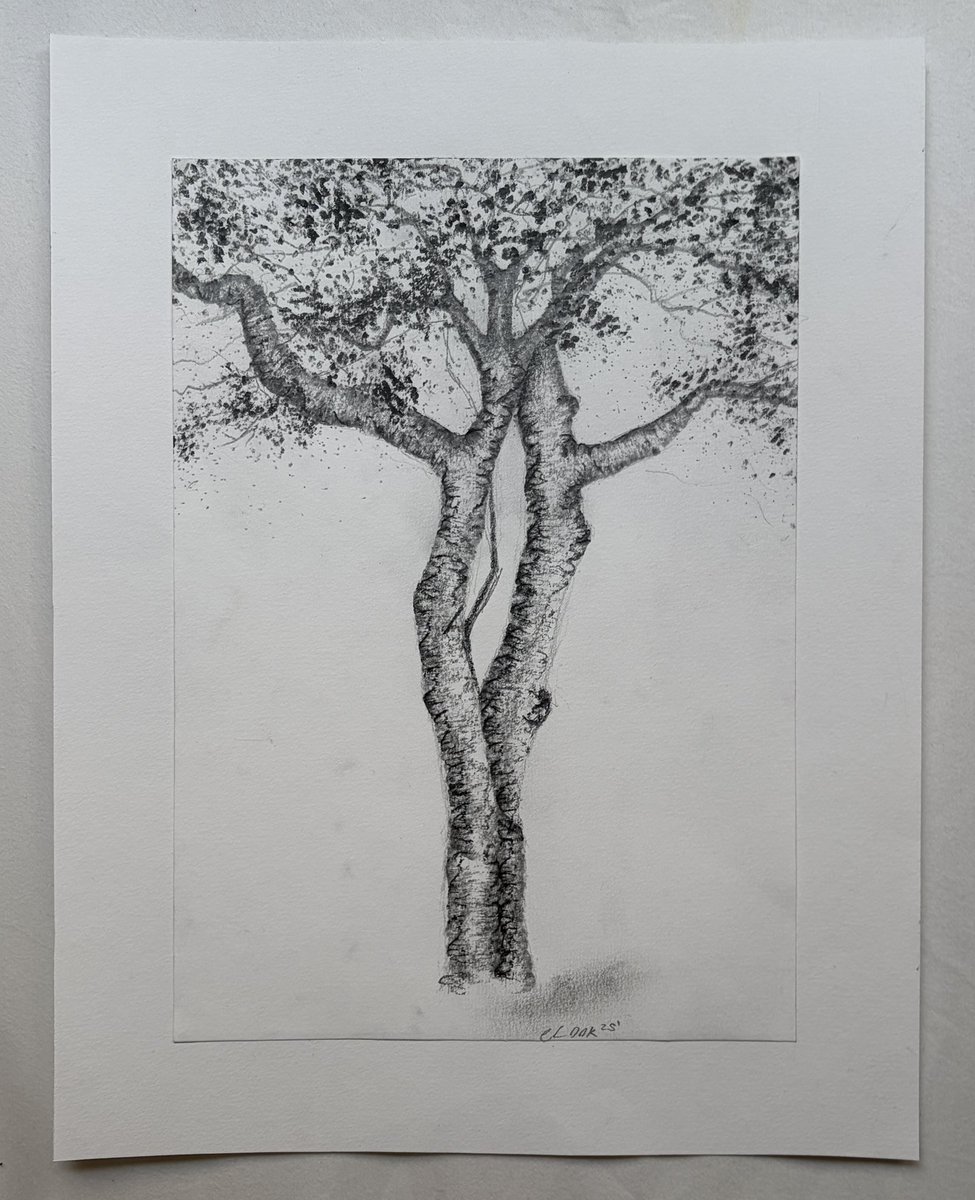 tiny soprano tweet media