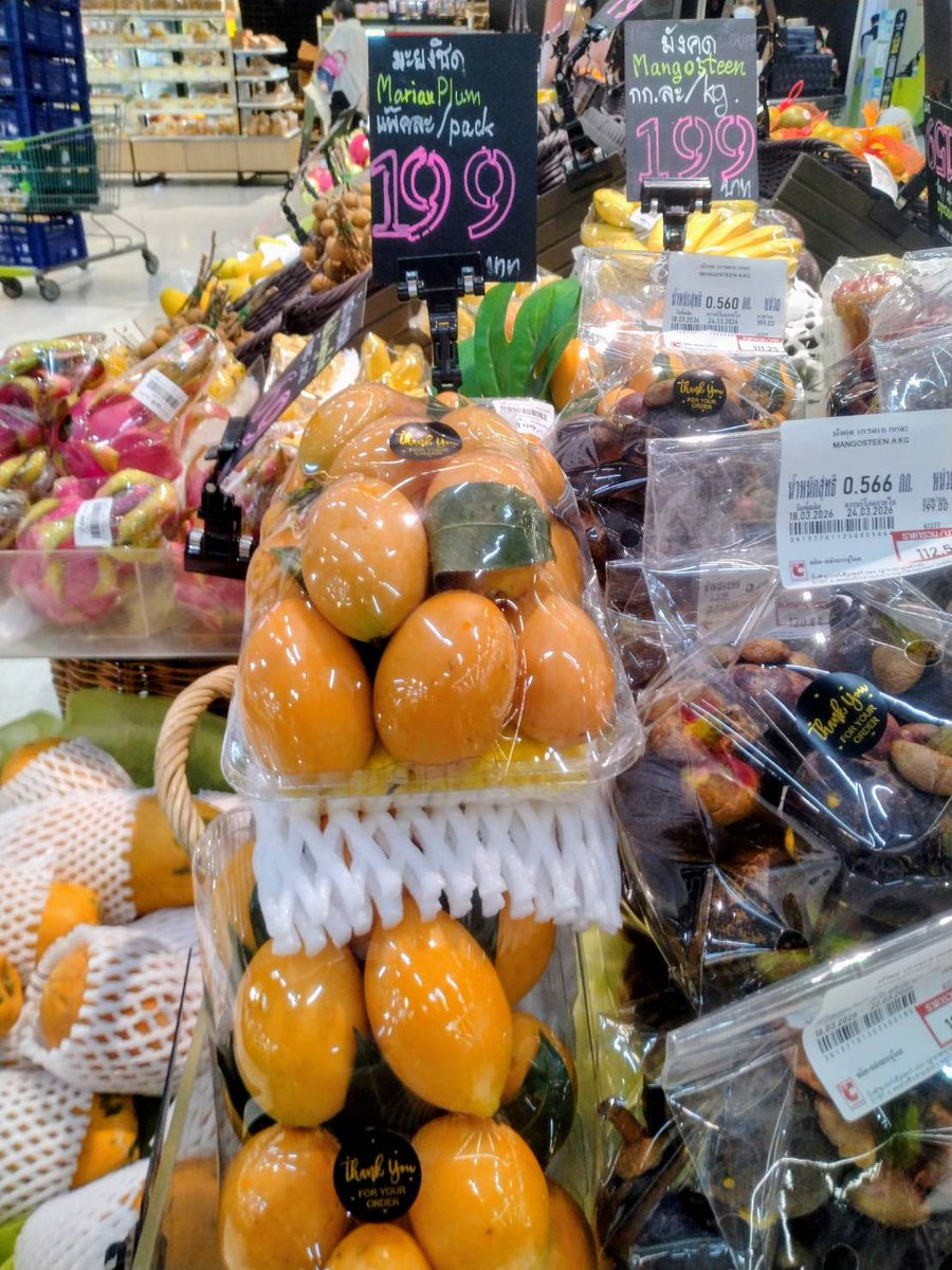 ケア・インターナショナル ジャパン tweet media