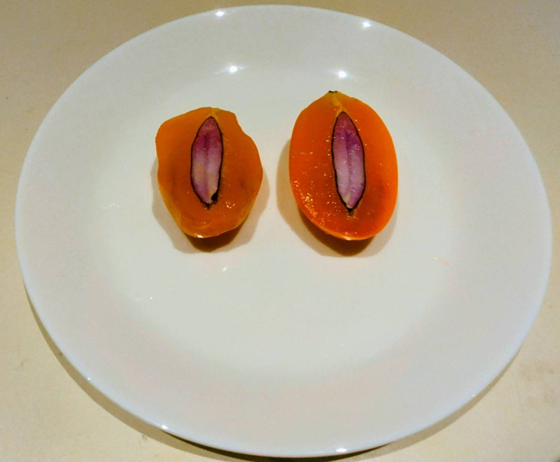 ケア・インターナショナル ジャパン tweet media