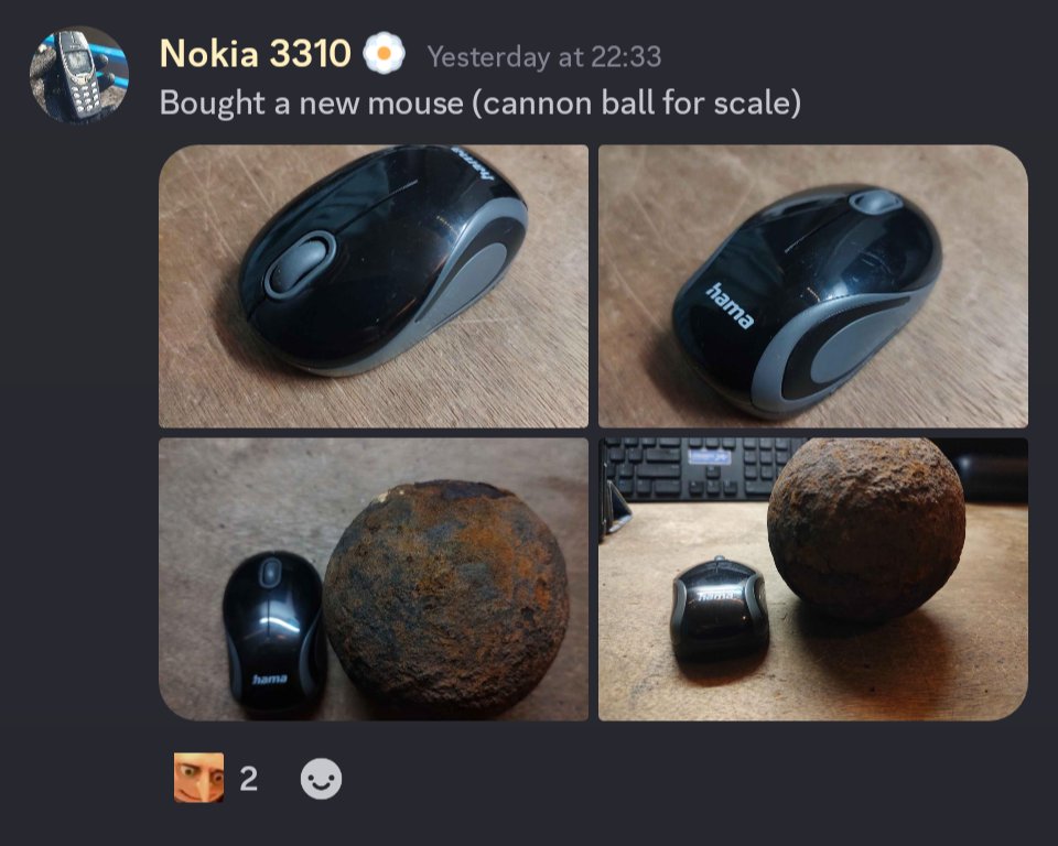 Ninny 🌻 Pony Vtuber tweet media