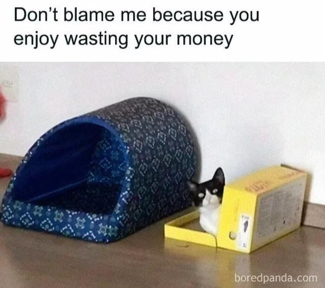 Verónica tweet media