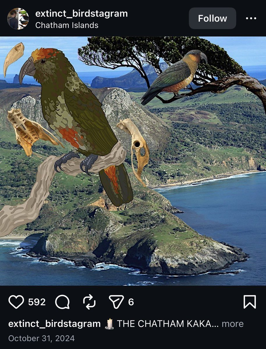 Broch @ Furnal Equinox tweet media