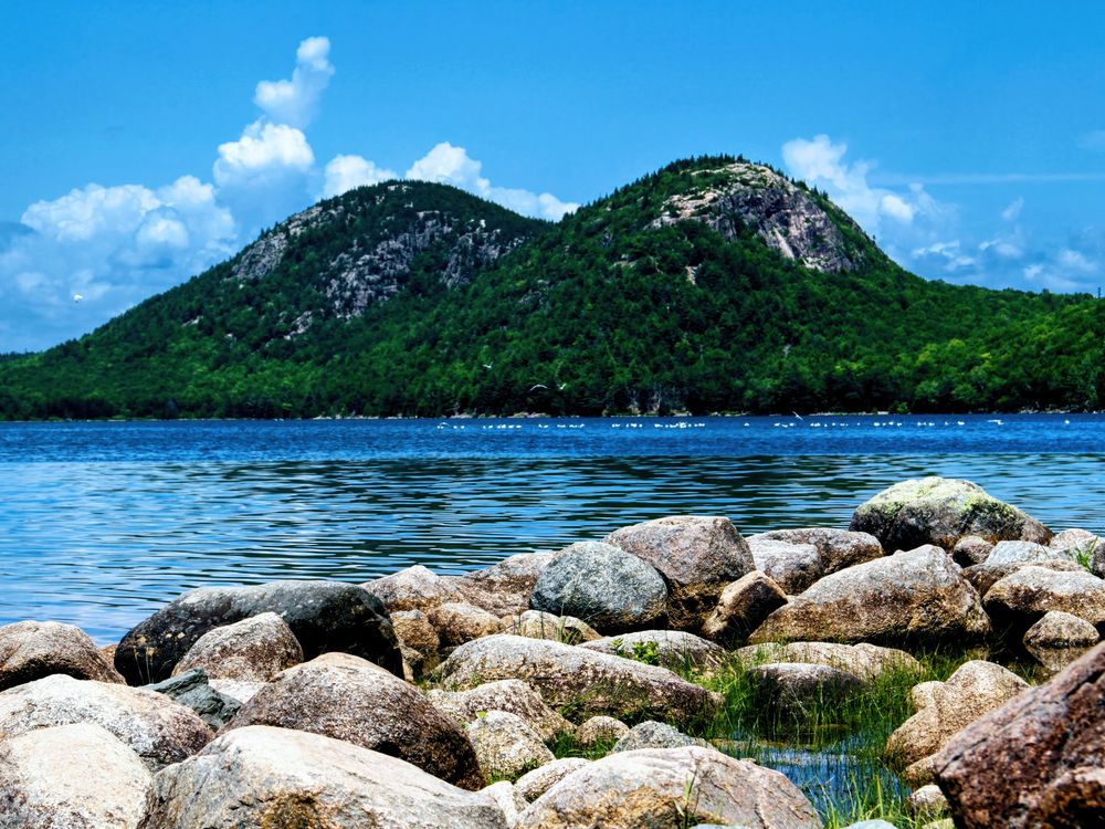 aka𝗙𝗼𝗹𝗲𝘆 💎💜 tweet media