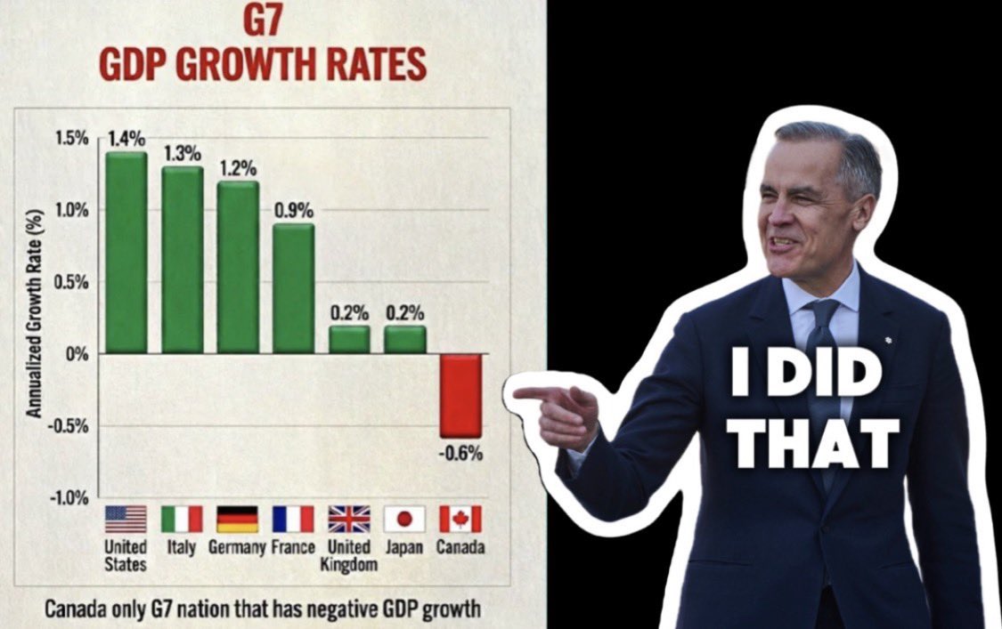 Working Dog tweet media