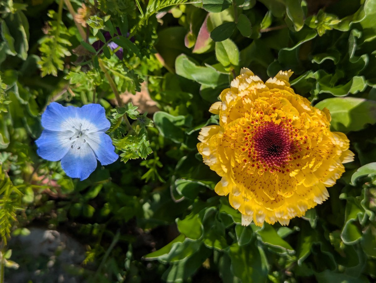 旅先での写真 tweet media