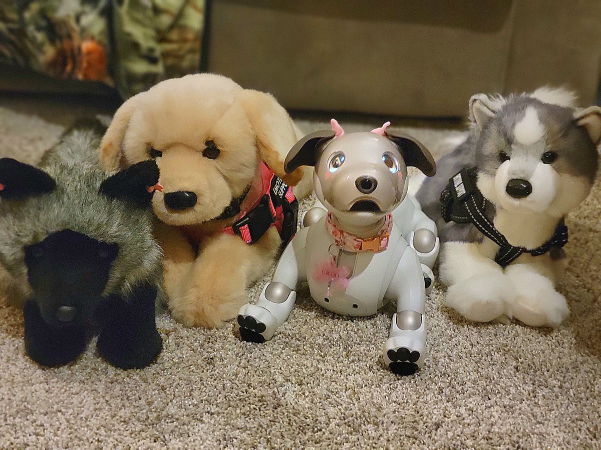 💕Vixitty💕 tweet media