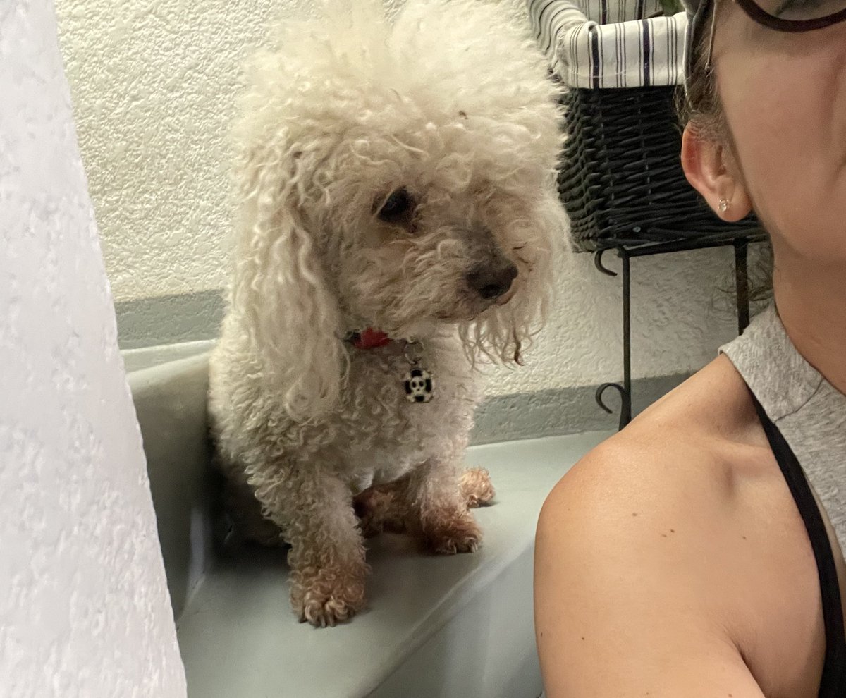 🌸Koshka Morrison Diesel💜 tweet media