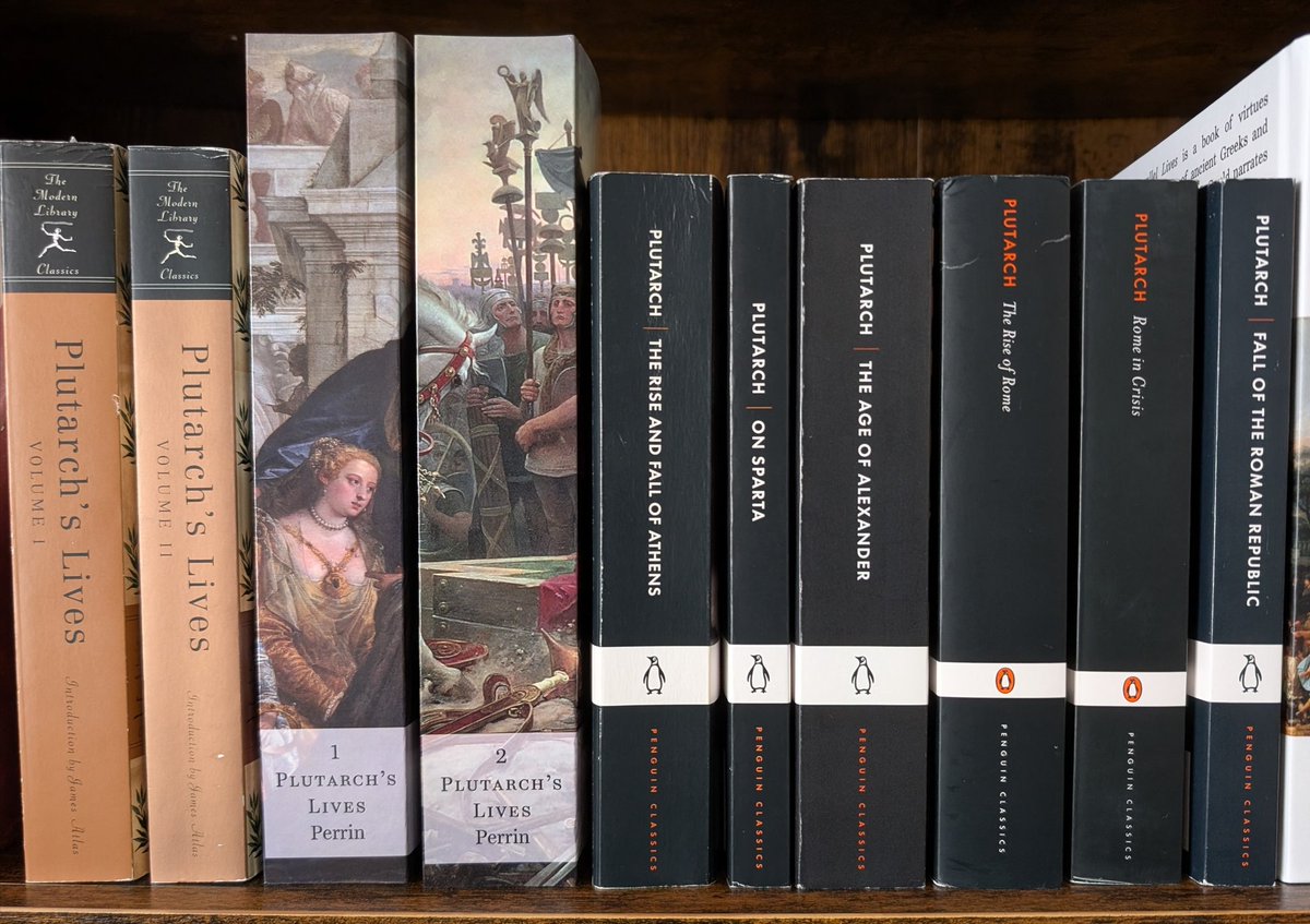 No Caparison 🇺🇸🇮🇹🇻🇦 tweet media