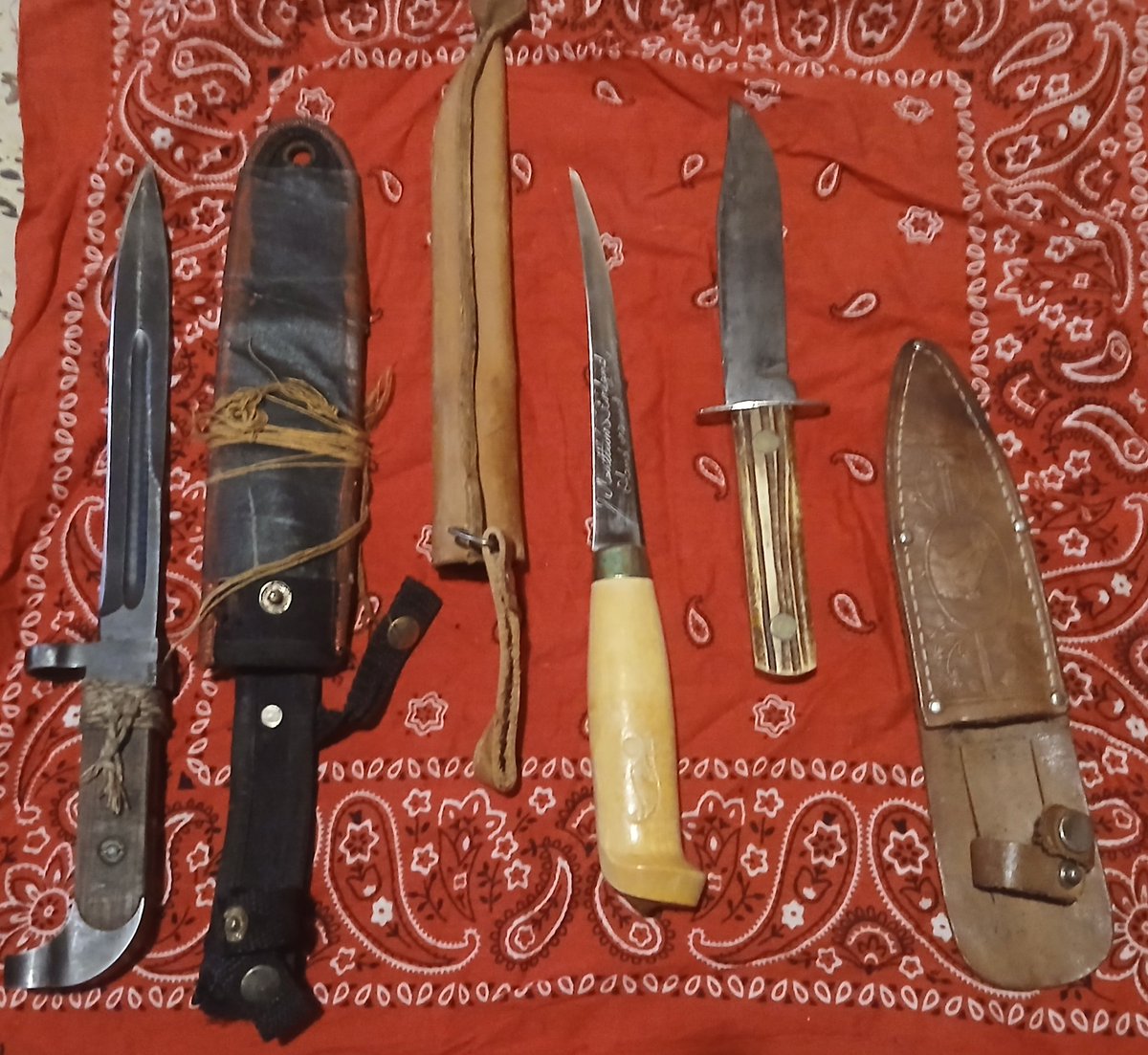 𝔸𝕃𝕌𝕂𝔸ℕ 🏺🫒🇭🇺⭐🔺 tweet media