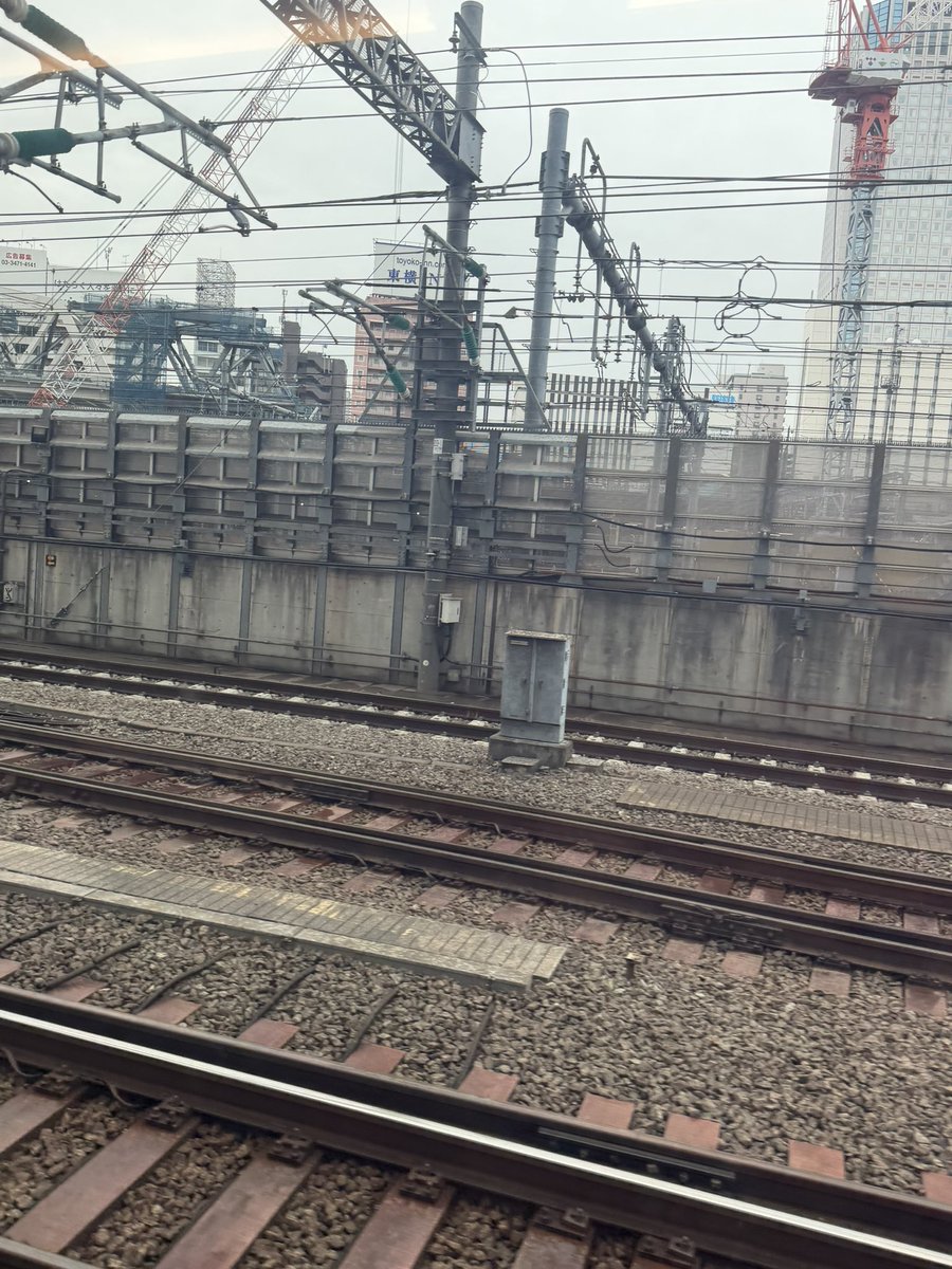 MANON（辻村麻乃） tweet media