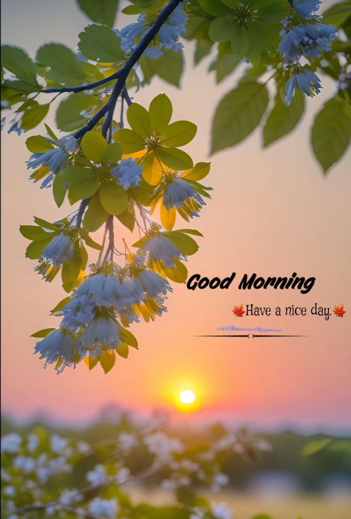 Bilal Khan tweet media