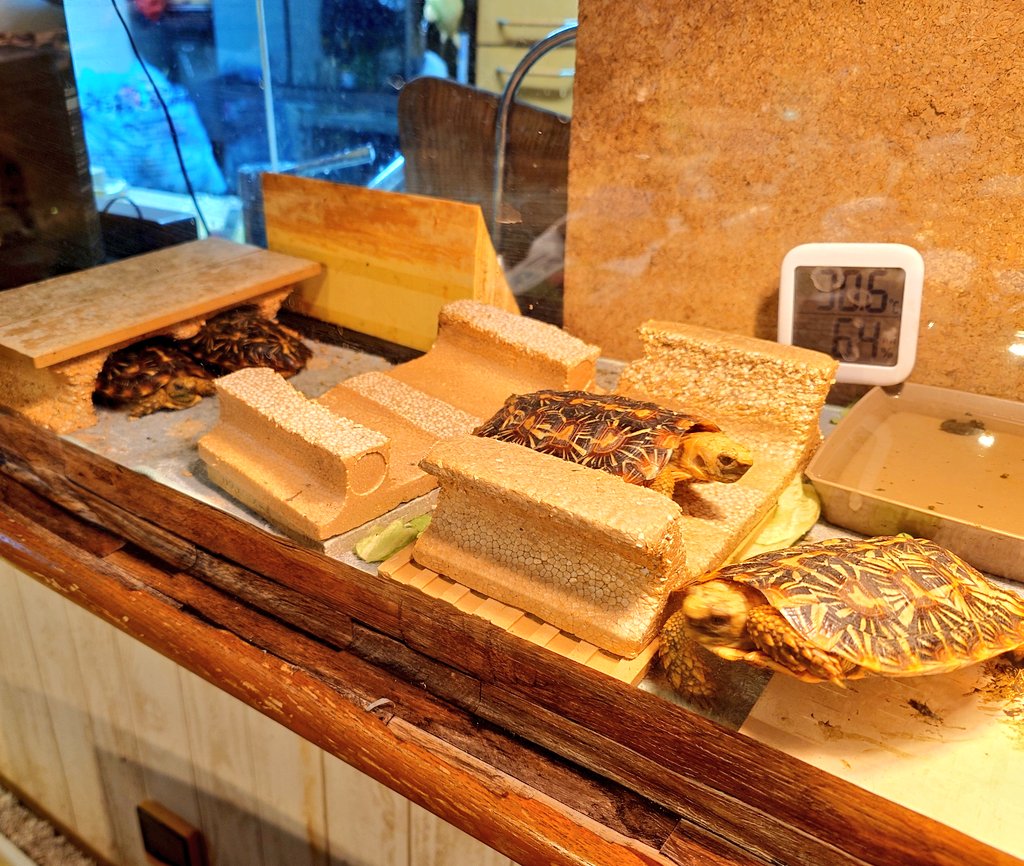 あこ@相模大野アートクラフト市4月26日（日） tweet media