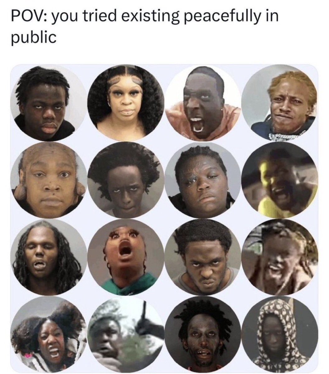 John Gulbani tweet media