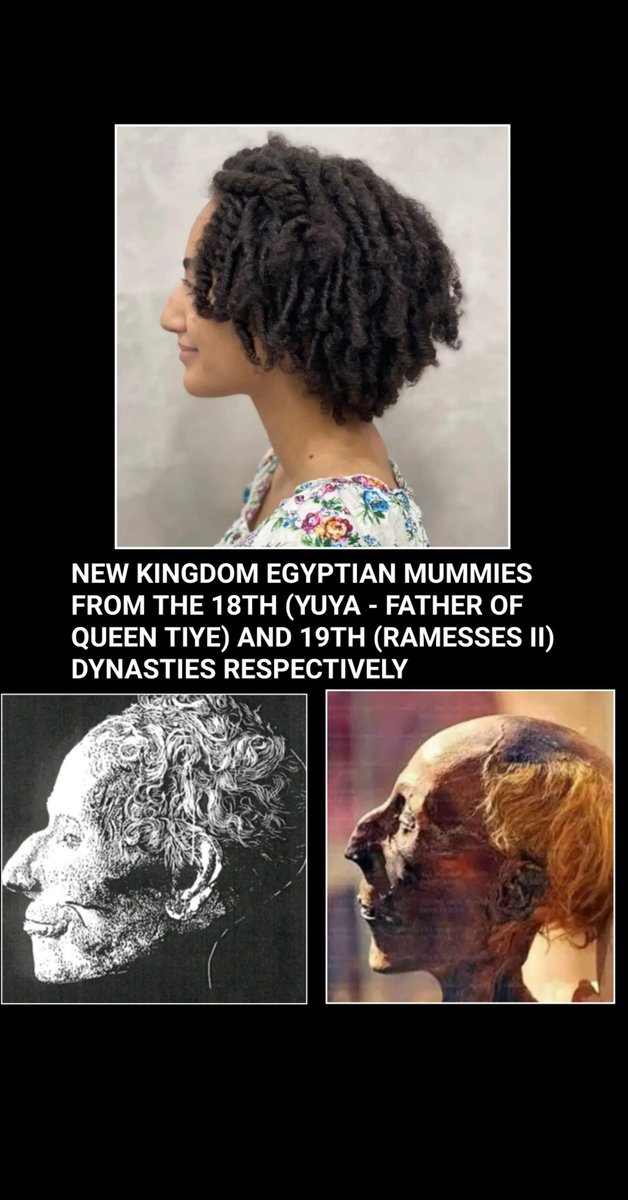 Komrade Reddington tweet media