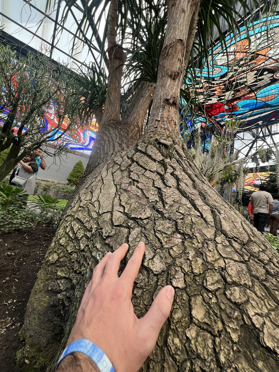 Jimi.tgn tweet media