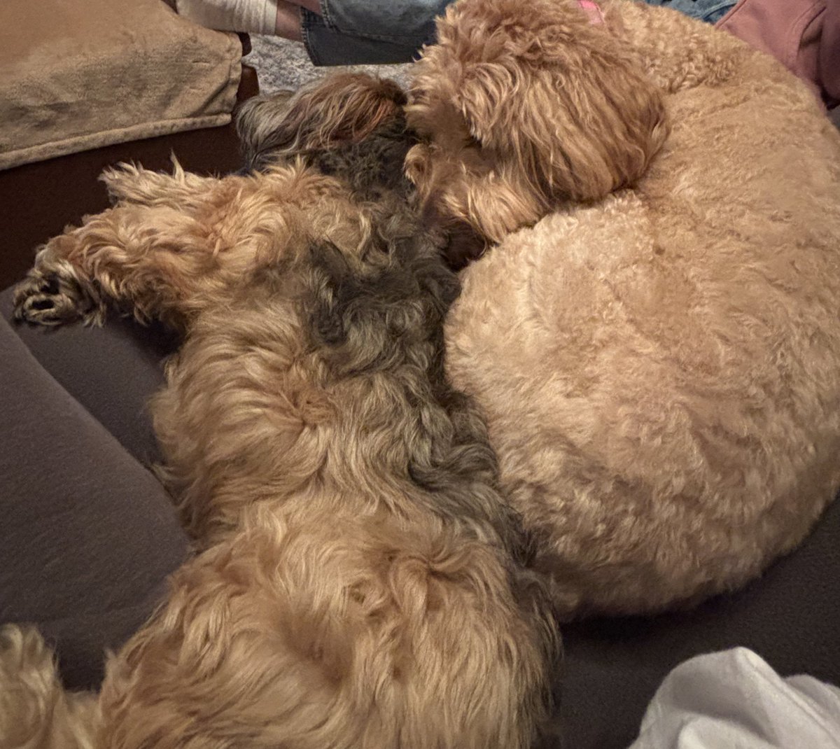 ETA frat leader tweet media