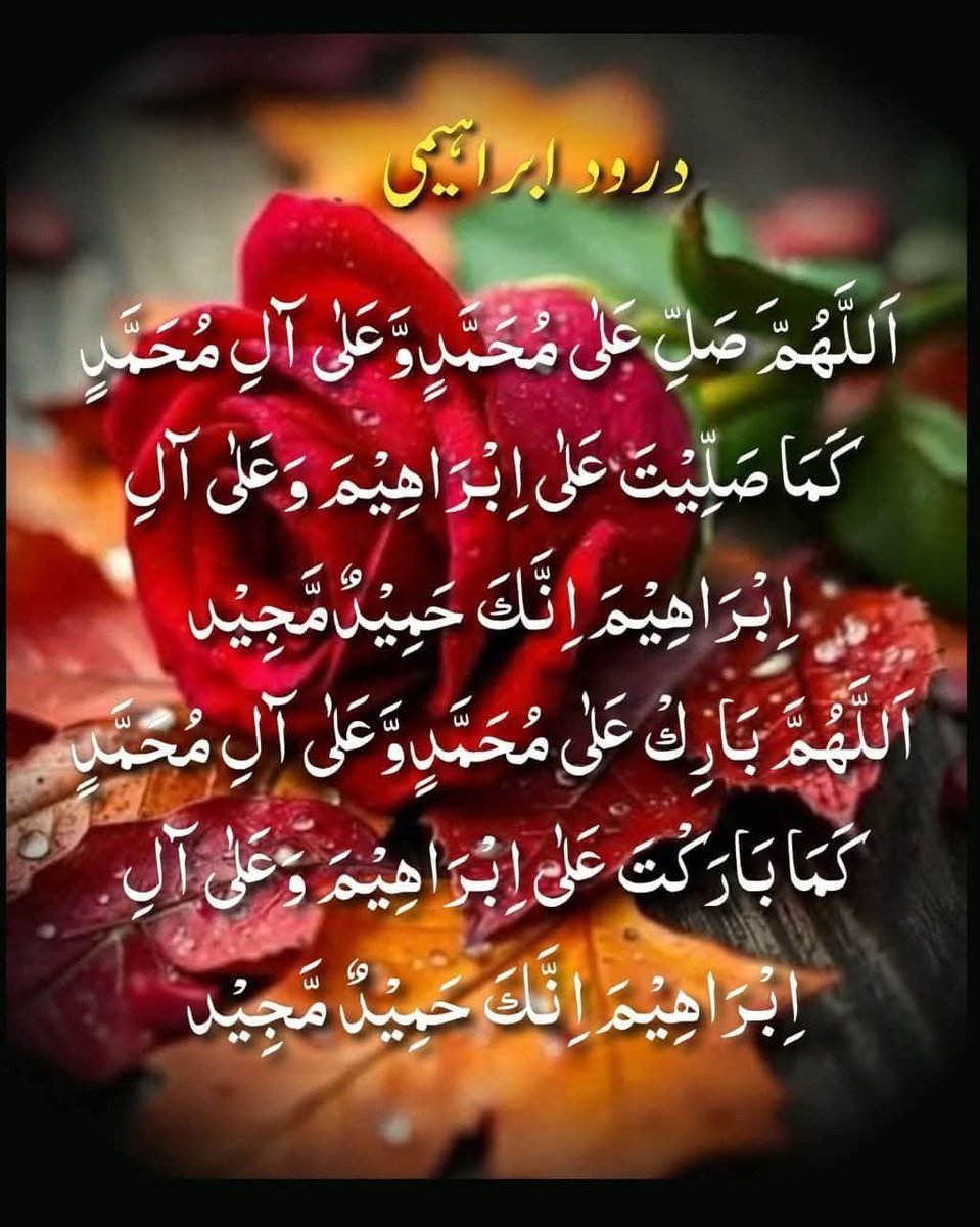 Shumaila Mubeen 🇵🇰 tweet media