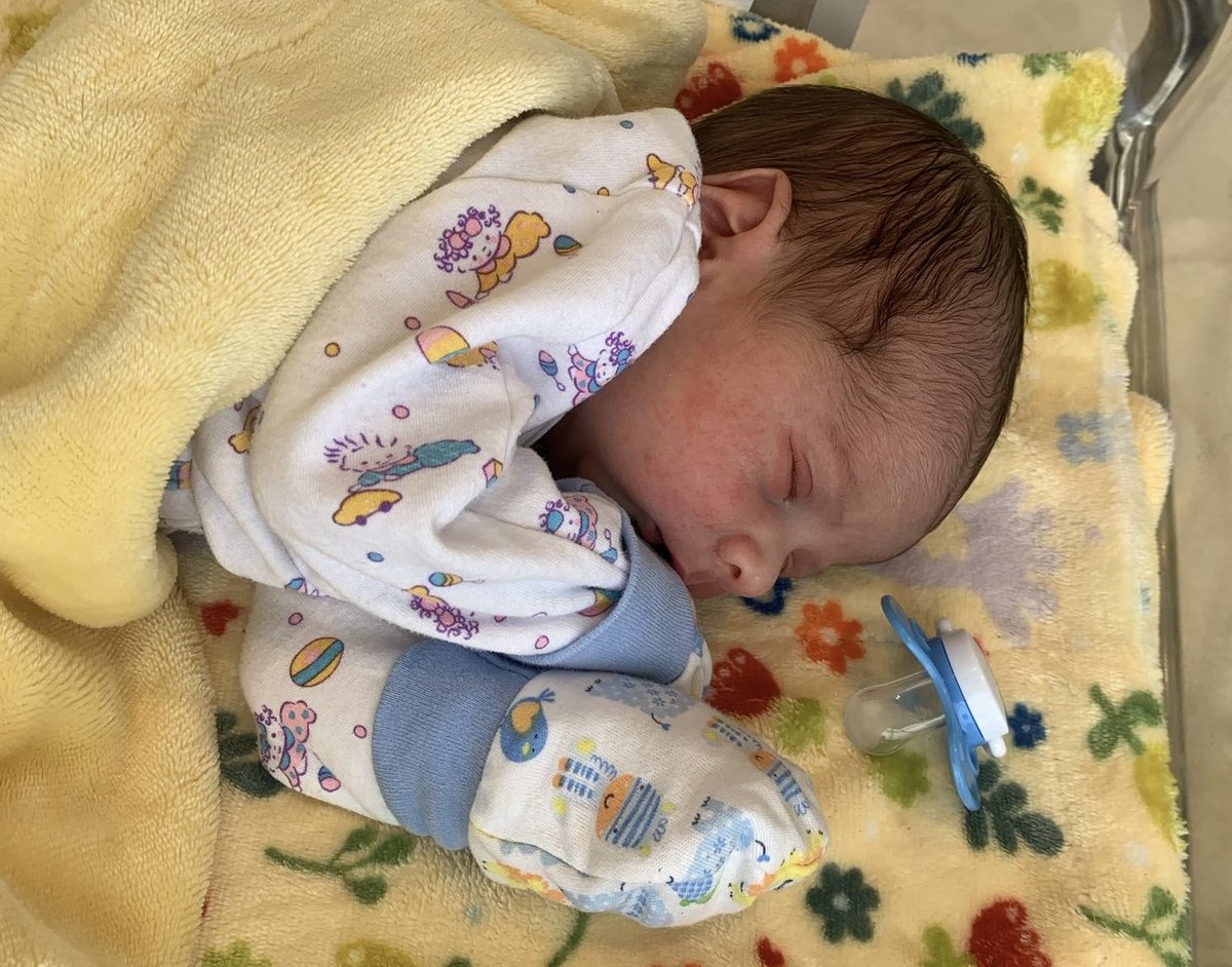 Keren 🇮🇱 tweet media