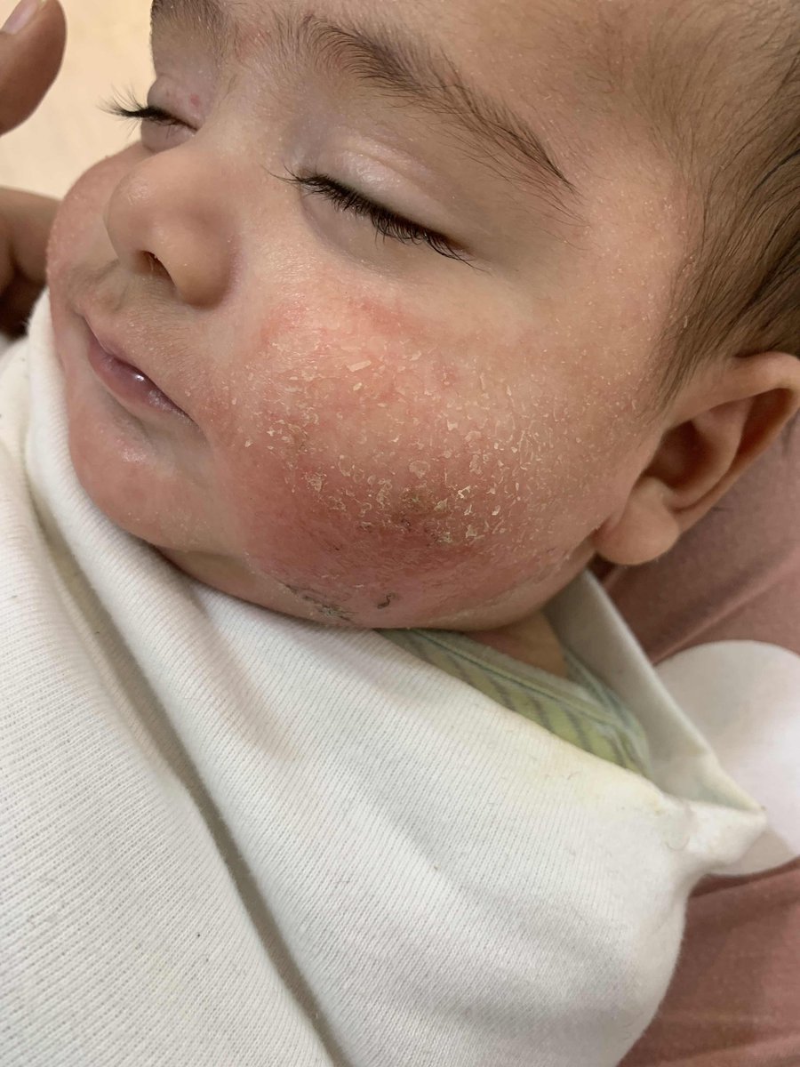 🍉*Fadi - Gaza Aid Request🍉 tweet media