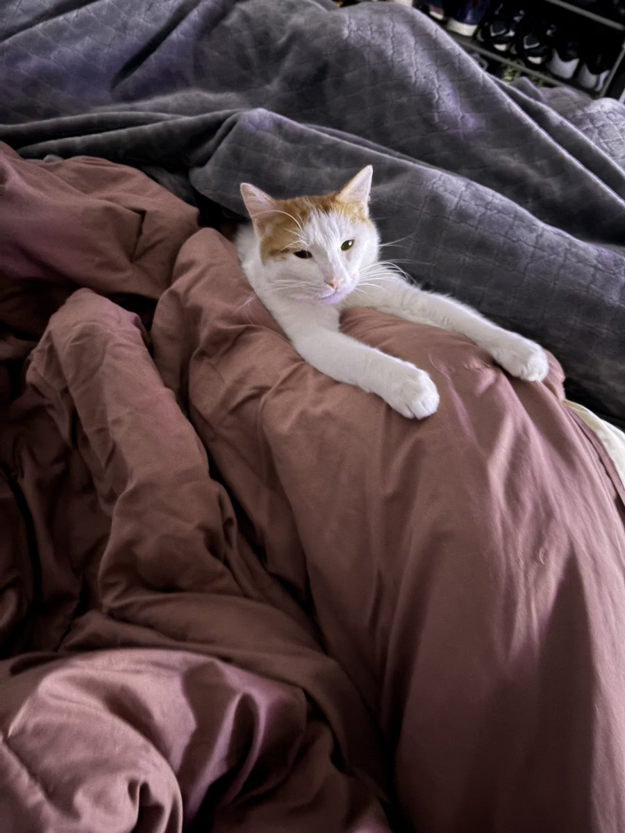 Ginni ✞ tweet media