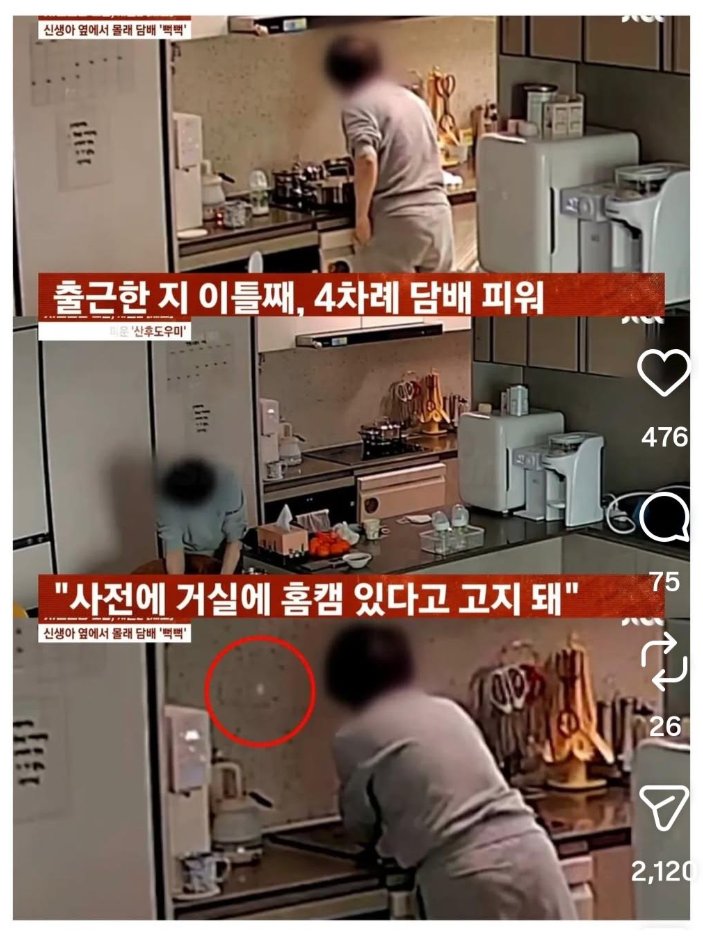 Ryan2Pro (라이언) tweet media