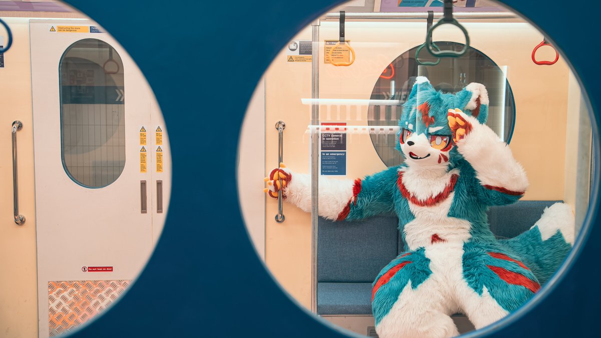 코우가🧪 tweet media