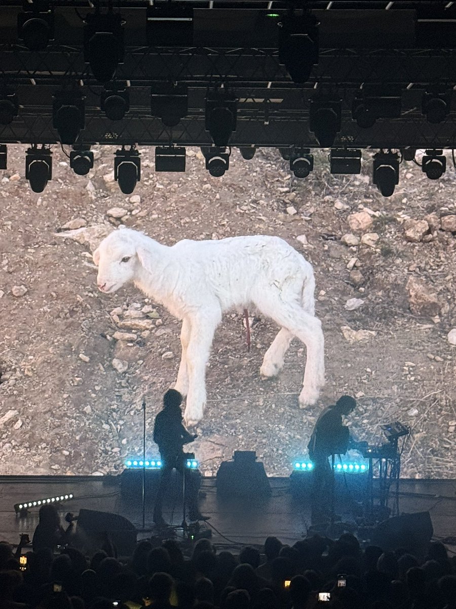 indrė 🦋 tweet media