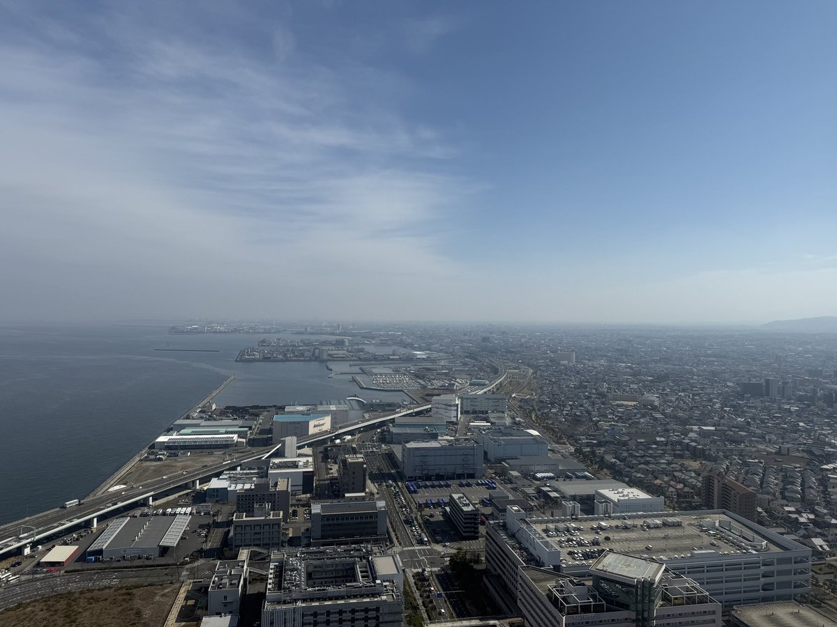 モンゴ tweet media