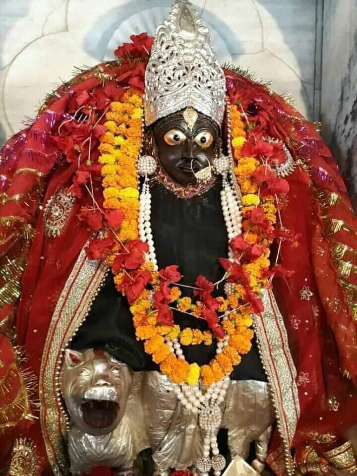 dr Avanindra Kumar Rai tweet media