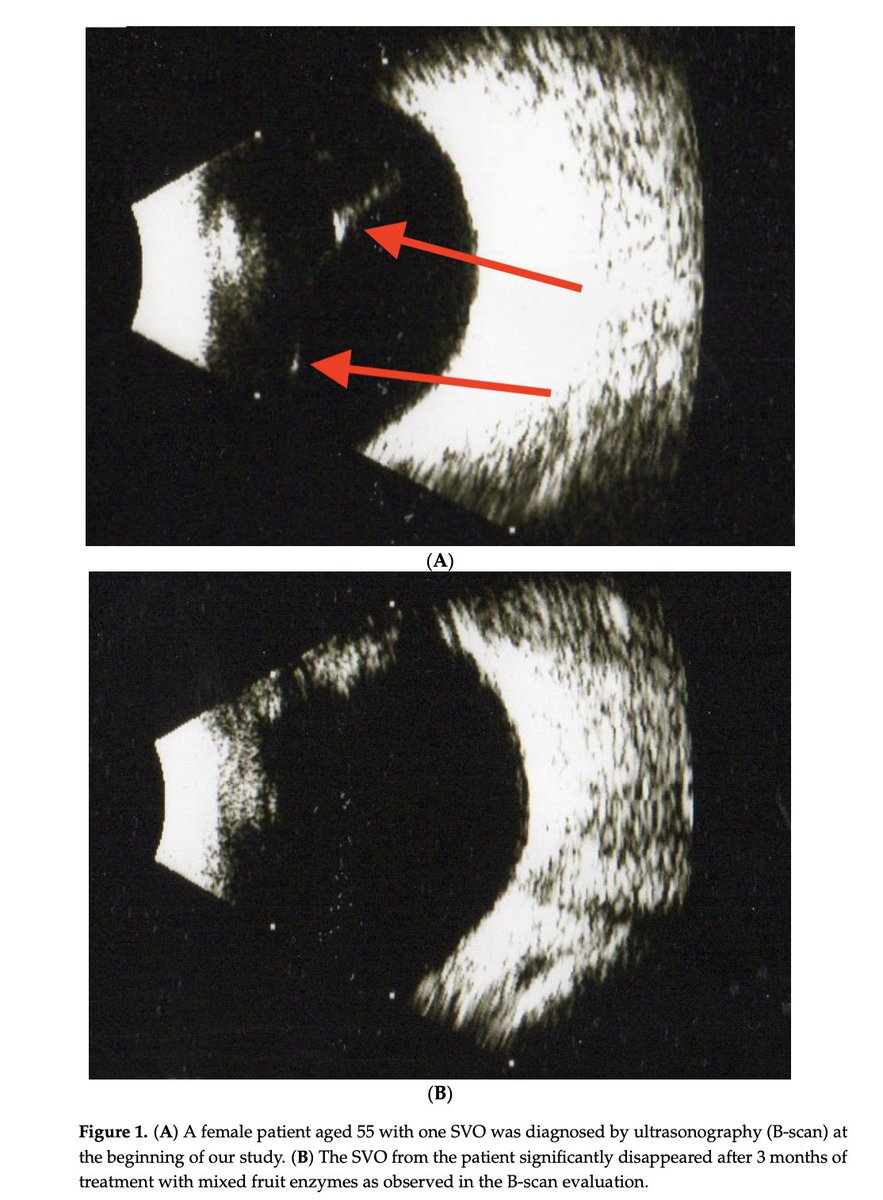 Dalton (Analyze & Optimize) tweet media