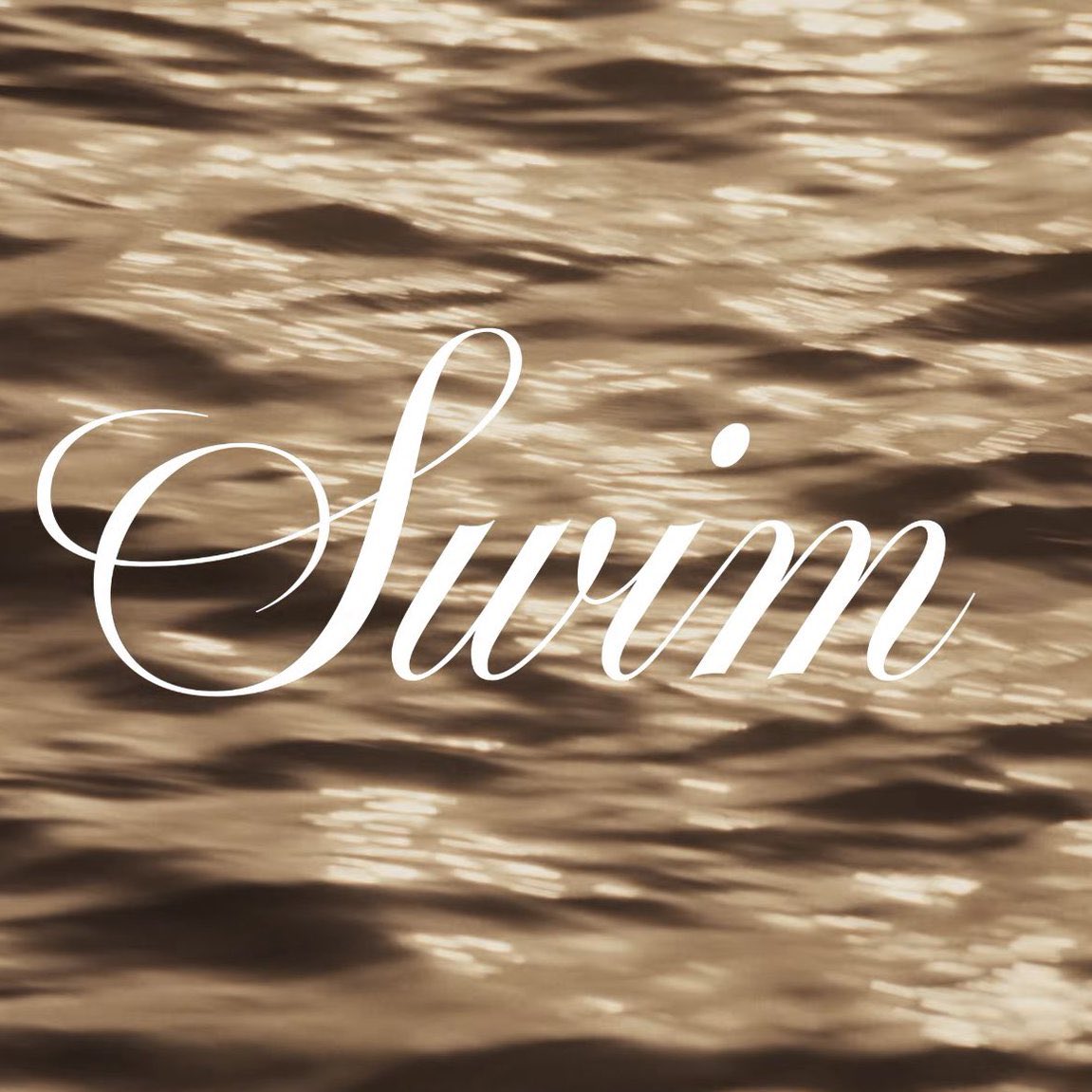 V Charts⚡️ tweet media