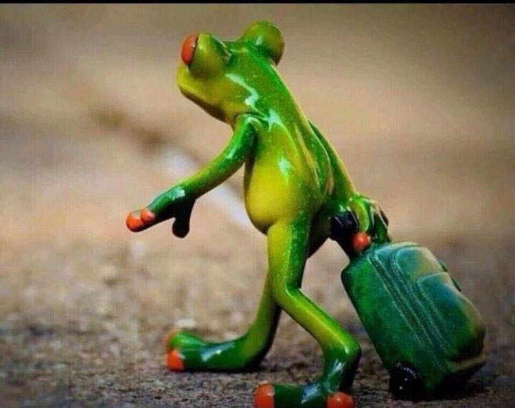 د.نؤطه👑 الملكي 19🏆 tweet media